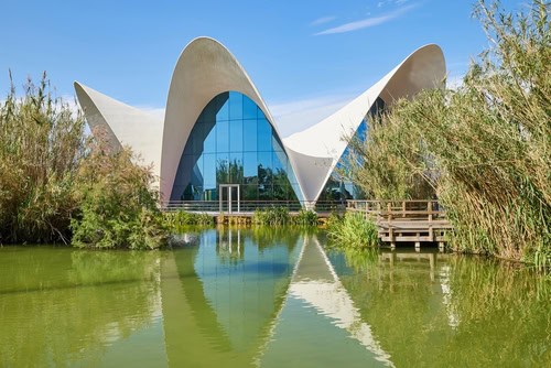 Ristorante dell'Oceanogràfic di Valencia