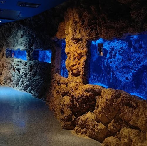 Gli acquari dell'Acquario Nazionale di Abu Dhabi