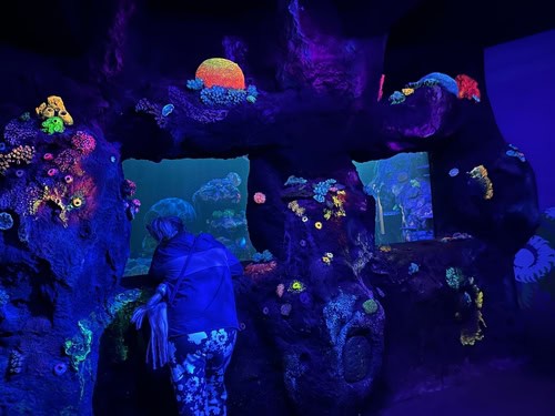 Visitatori del SEA LIFE London Aquarium