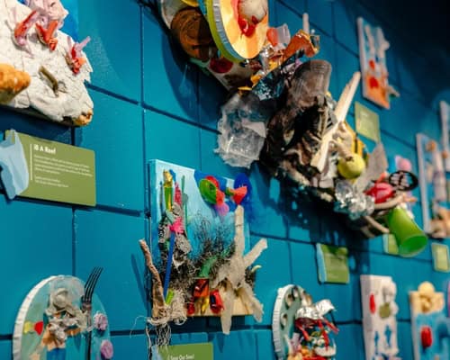 Mostra all'Acquario della Florida, Tampa